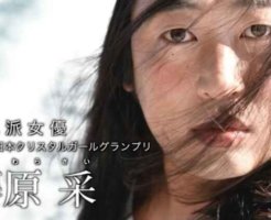 robatoakiyamafujiwarasai